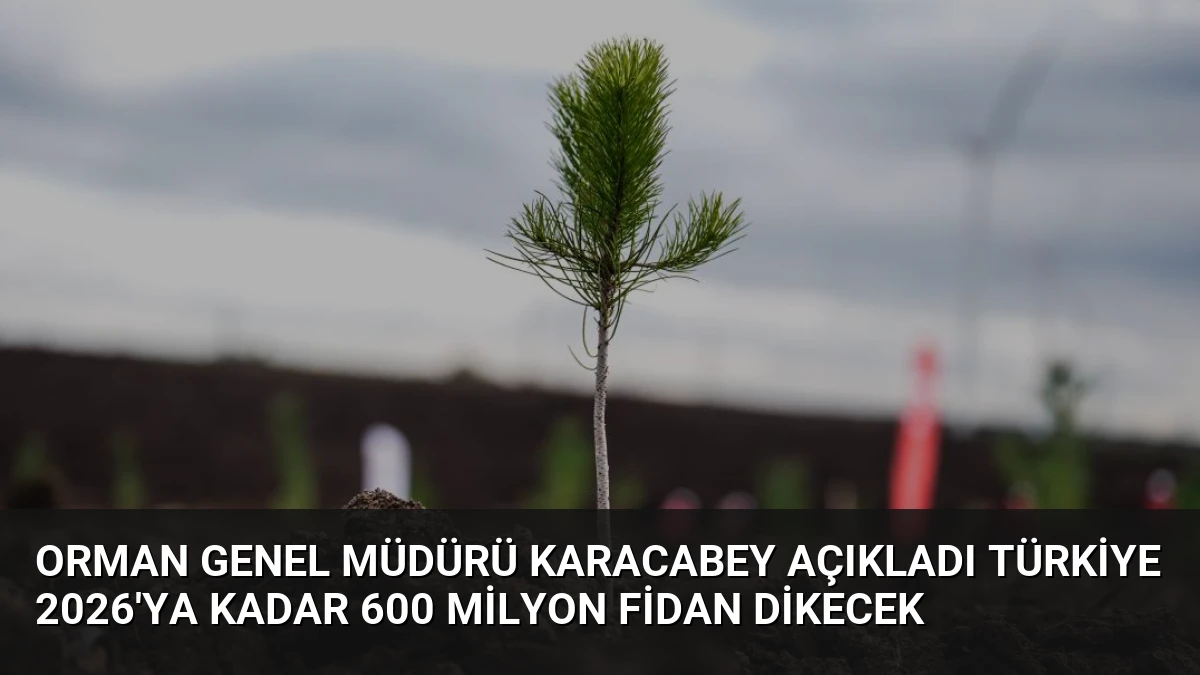 Orman Genel Müdürü Karacabey Açıkladı Türkiye 2026’ya Kadar 600 Milyon Fidan Dikecek