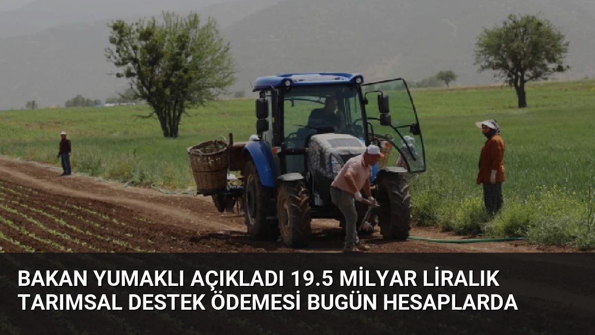 Bakan Yumaklı Açıkladı 19.5 Milyar Liralık Tarımsal Destek Ödemesi Bugün Hesaplarda