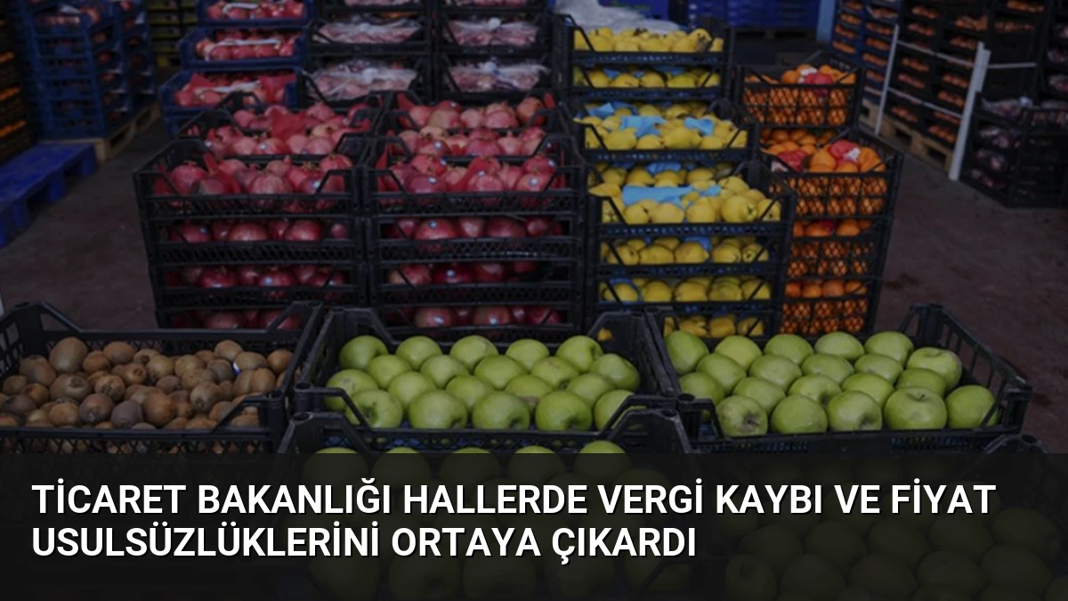 Ticaret Bakanlığı Hallerde Vergi Kaybı ve Fiyat Usulsüzlüklerini Ortaya Çıkardı
