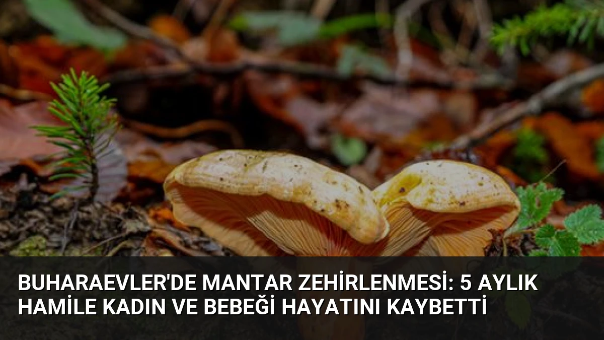 Buharaevler’de Mantar Zehirlenmesi: 5 Aylık Hamile Kadın ve Bebeği Hayatını Kaybetti