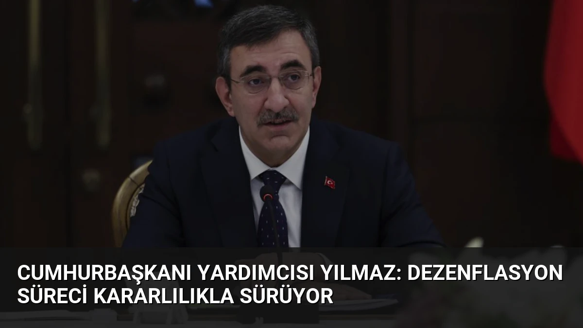 Cumhurbaşkanı Yardımcısı Yılmaz: Dezenflasyon Süreci Kararlılıkla Sürüyor
