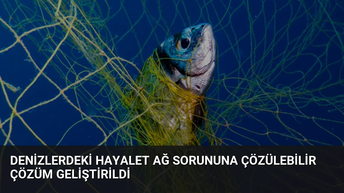 Denizlerdeki Hayalet Ağ Sorununa Çözülebilir Çözüm Geliştirildi