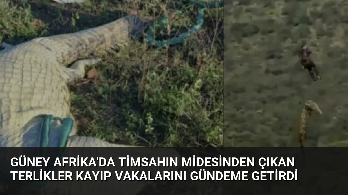 Güney Afrika’da Timsahın Midesinden Çıkan Terlikler Kayıp Vakalarını Gündeme Getirdi