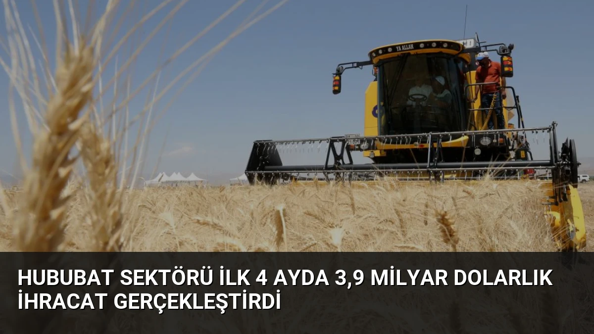 Hububat Sektörü İlk 4 Ayda 3,9 Milyar Dolarlık İhracat Gerçekleştirdi