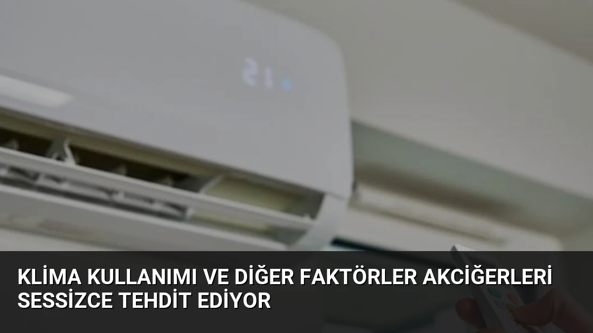 Klima Kullanımı ve Diğer Faktörler Akciğerleri Sessizce Tehdit Ediyor