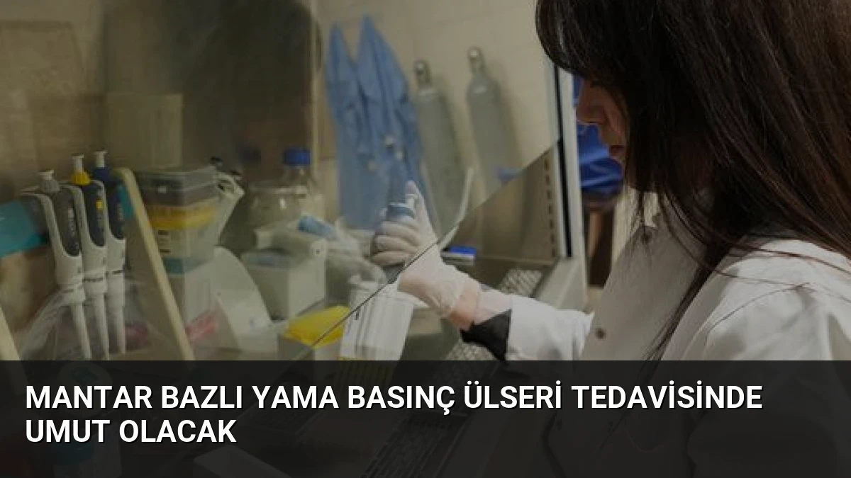 Mantar Bazlı Yama Basınç Ülseri Tedavisinde Umut Olacak