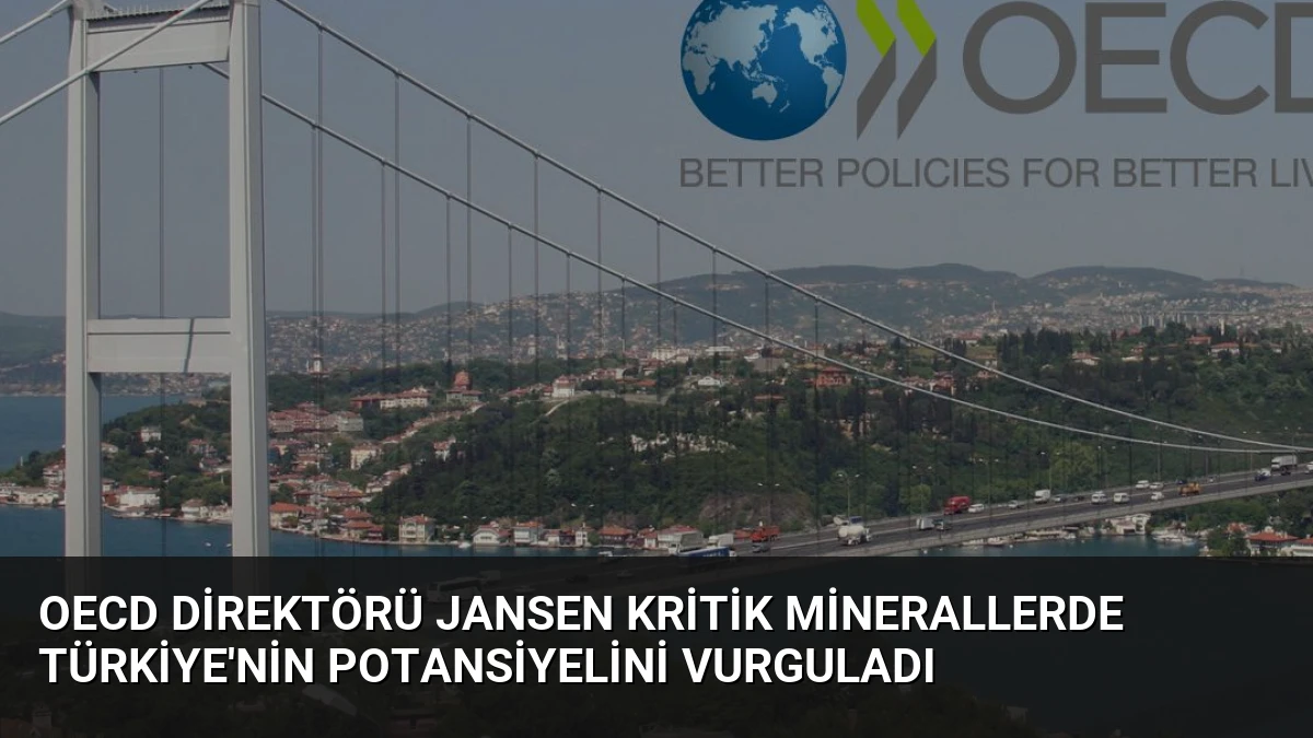 OECD Direktörü Jansen Kritik Minerallerde Türkiye’nin Potansiyelini Vurguladı