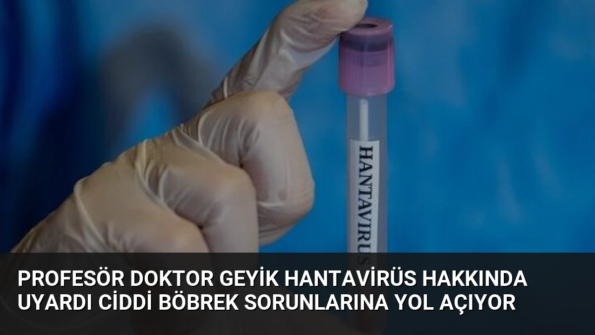 Profesör Doktor Geyik Hantavirüs Hakkında Uyardı Ciddi Böbrek Sorunlarına Yol Açıyor