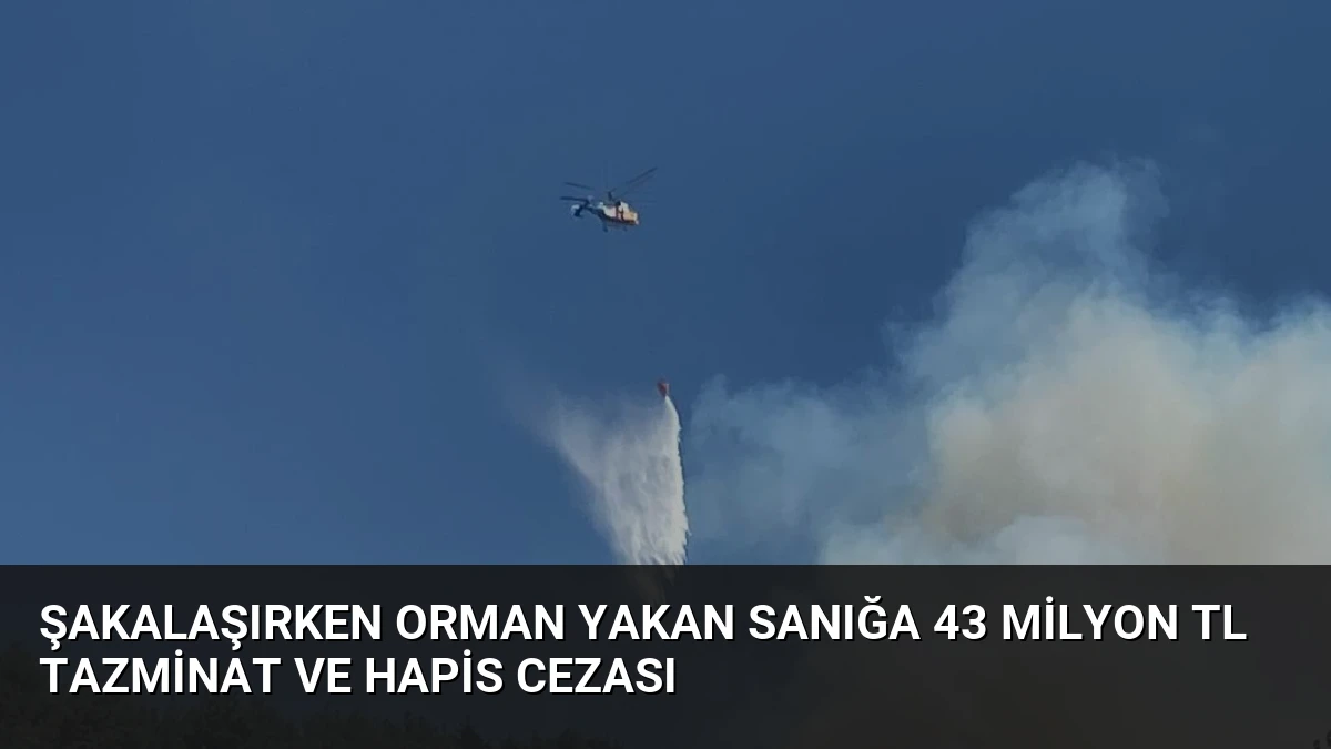 Şakalaşırken Orman Yakan Sanığa 43 Milyon TL Tazminat ve Hapis Cezası