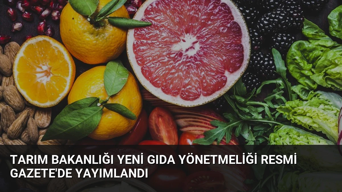 Tarım Bakanlığı Yeni Gıda Yönetmeliği Resmi Gazete’de Yayımlandı