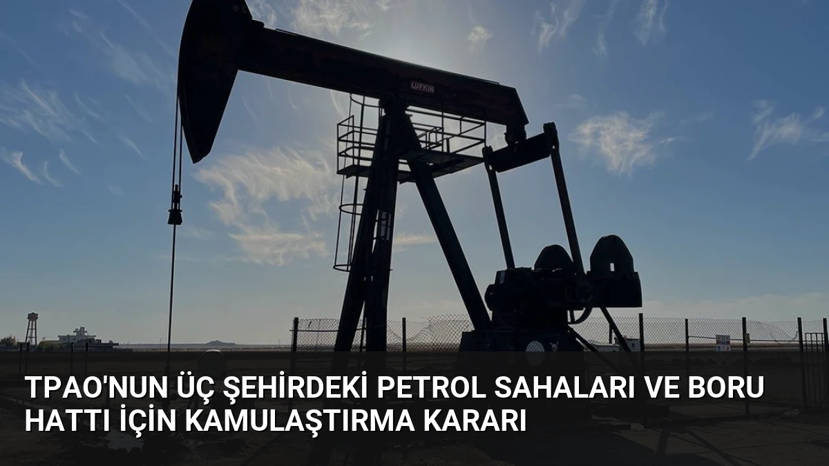 TPAO’nun Üç Şehirdeki Petrol Sahaları ve Boru Hattı İçin Kamulaştırma Kararı