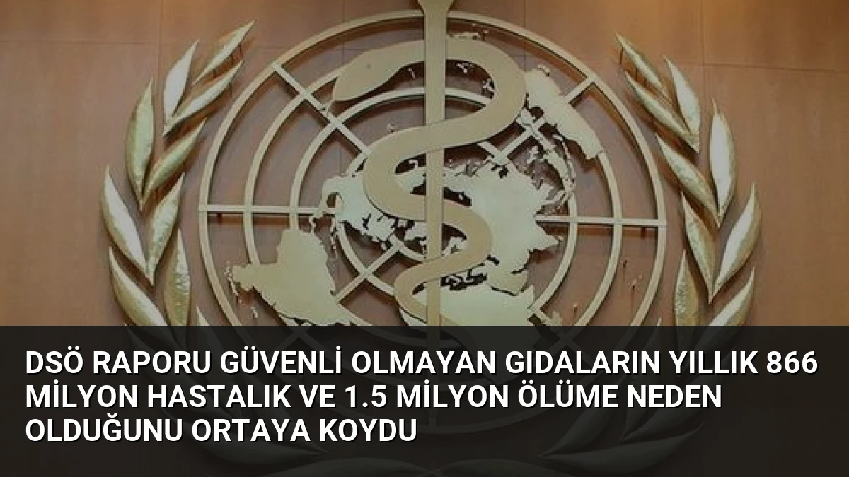 DSÖ Raporu Güvenli Olmayan Gıdaların Yıllık 866 Milyon Hastalık ve 1.5 Milyon Ölüme Neden Olduğunu Ortaya Koydu