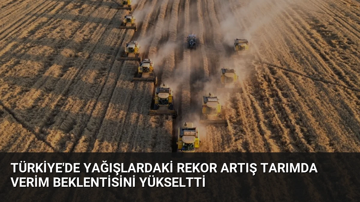 Türkiye’de Yağışlardaki Rekor Artış Tarımda Verim Beklentisini Yükseltti