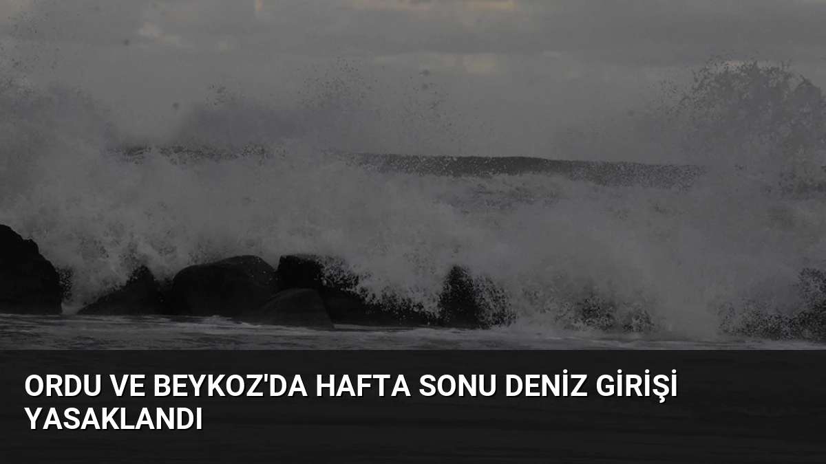 Ordu ve Beykoz’da Hafta Sonu Deniz Girişi Yasaklandı
