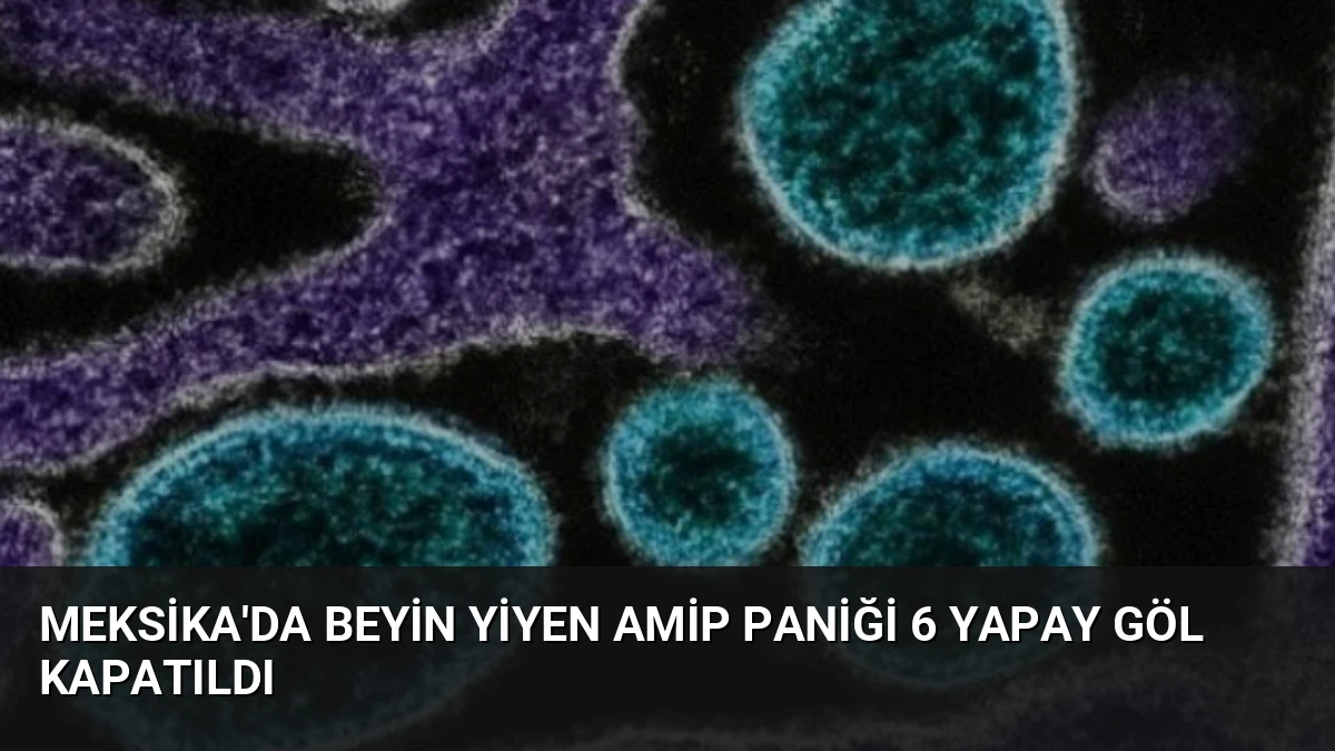 Meksika’da Beyin Yiyen Amip Paniği 6 Yapay Göl Kapatıldı