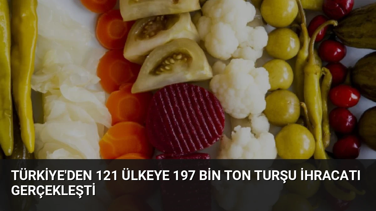 Türkiye’den 121 Ülkeye 197 Bin Ton Turşu İhracatı Gerçekleşti